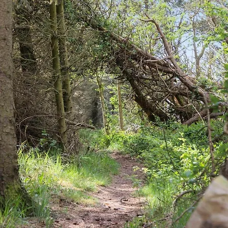 Lf14138-spottrup-heden-11