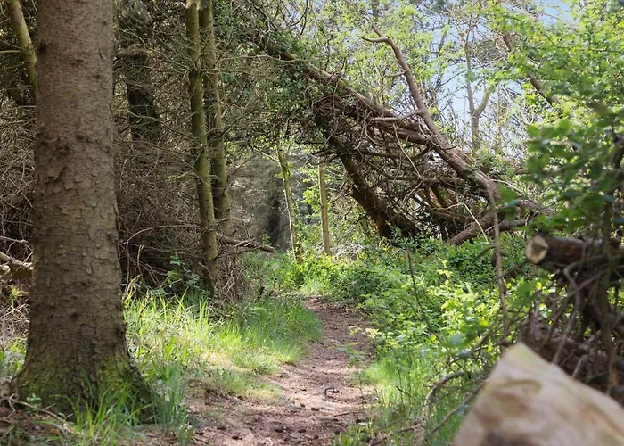 Lf14138-spottrup-heden-11